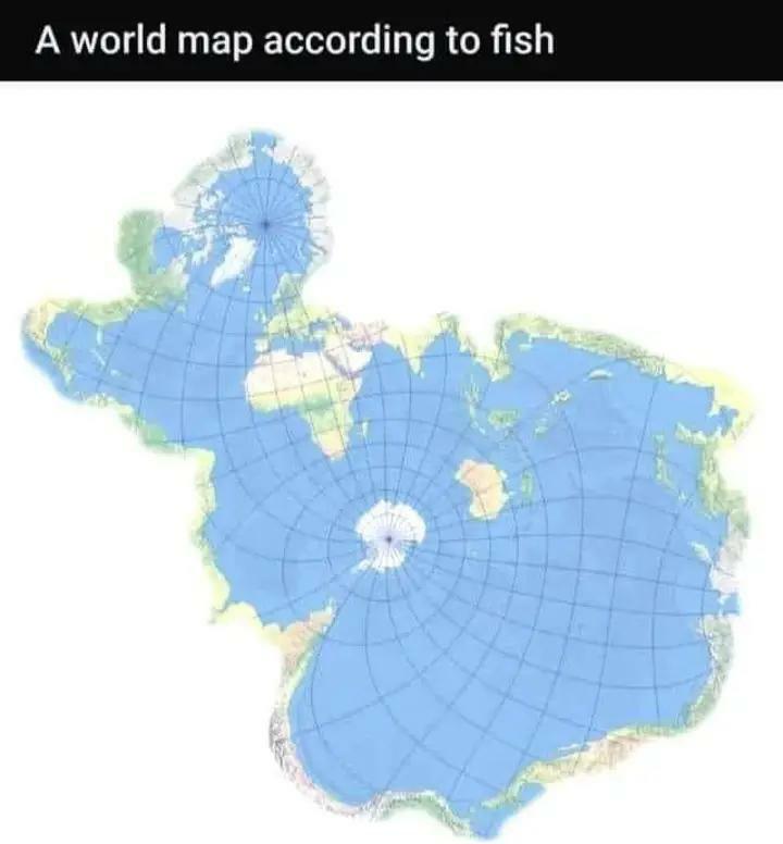鱼眼中的世界地图